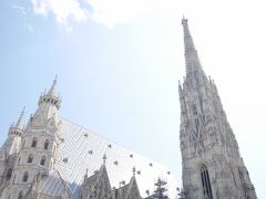 昨日通り過ぎたシュテファン寺院を今日は見学。

ウィーン市内の中で一番観光客が多いのでは？っていうのがこの広場でした。


教会の中もすごい人。