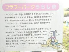 「フラワーパークうらしま」は、休耕田を活用した「お花畑」です