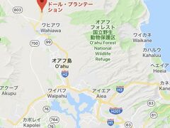 ②お次は北上して『ドールプランテーション』
64-1550 Kamehameha Hwy, Wahiawa, HI 96786 アメリカ合衆国
営業時間/毎日9：30～17：00
※ワイキキから約40分