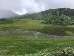 娘たちが見る初めての湿原。

美しかった～(^｡^)。