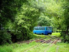 キタイスキー市場をウロウロ・・・時間があれば路面電車にも乗ってみたかったな。

シーグラスビーチへはバスで。
キタイスキー市場の近くにあるバスターミナルからバスで行ける。

ただ、Yandex.Taxiアプリで検索しても500Pくらい。
時間がないなら、タクシーでもいいかも。