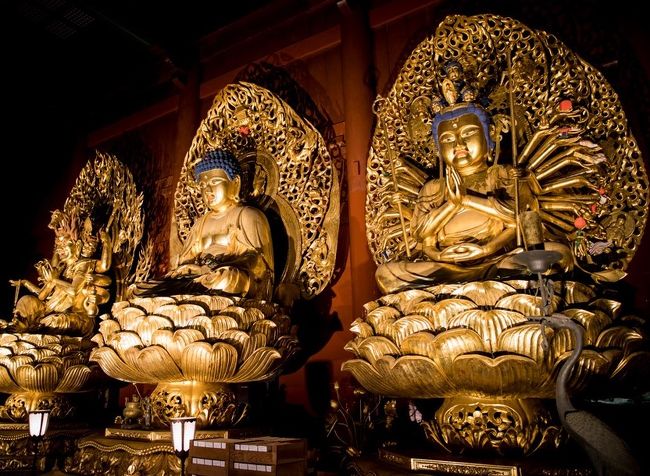日光-7 日光山輪王寺 本堂/三仏堂 ・黒門・金剛桜 ☆平成の大