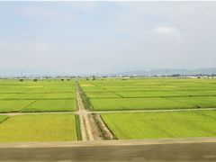 コシヒカリの育つ田圃を眺めながら新潟から燕三条へ

８月１９日（月）　嵐渓荘
（バス）出湯温泉9:00⇒9:22水原9:40⇒10:28新潟
（新幹線）新潟⇒燕三条
燕三条（燕側出口）（14:45）・東三条駅（15:05）は1日1便のみ送迎あり（要予約）