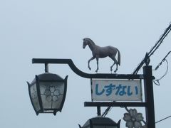 道中の「静内町」の街灯。
馬が乗ってる・・・。

静内町内には牧場が多数あって、トウショウボーイ、サクラチヨノオー、ウイニングチケット、ウオッカなど多くの競走馬を輩出しているそうです。