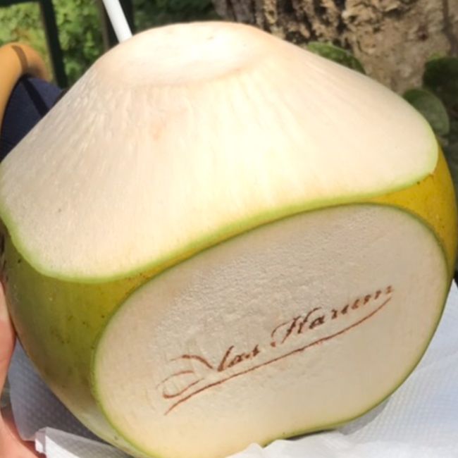 大人はココナッツ、子ども達はアイスクリームで休憩。