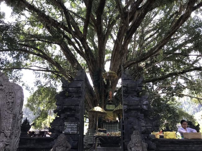 ゴアガシャ<br />とにかく広くてアップダウンあり、苔生した岩に小さな滝あり、池あり。<br />