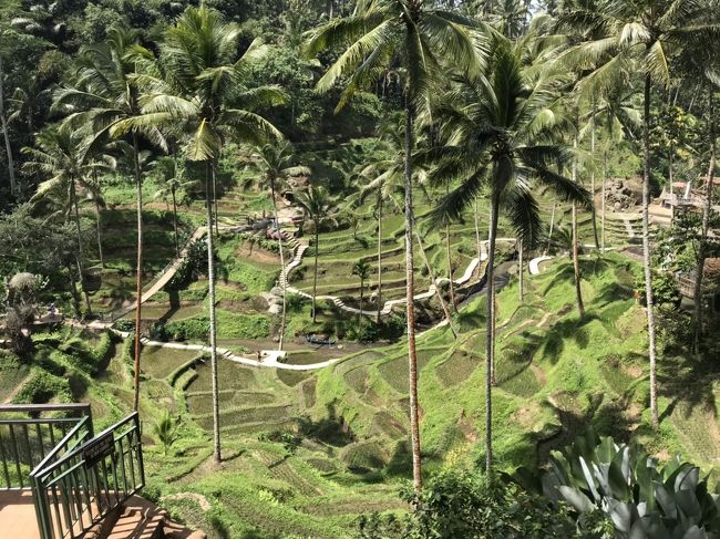 テガラランライステラス<br />入場やブランコ数種類など細かい料金設定。<br />吊り橋やゴリラ岩など人工物がありました。<br />個人的にそれは要らないなー。<br />プールも近いうちオープンするみたいです。<br />