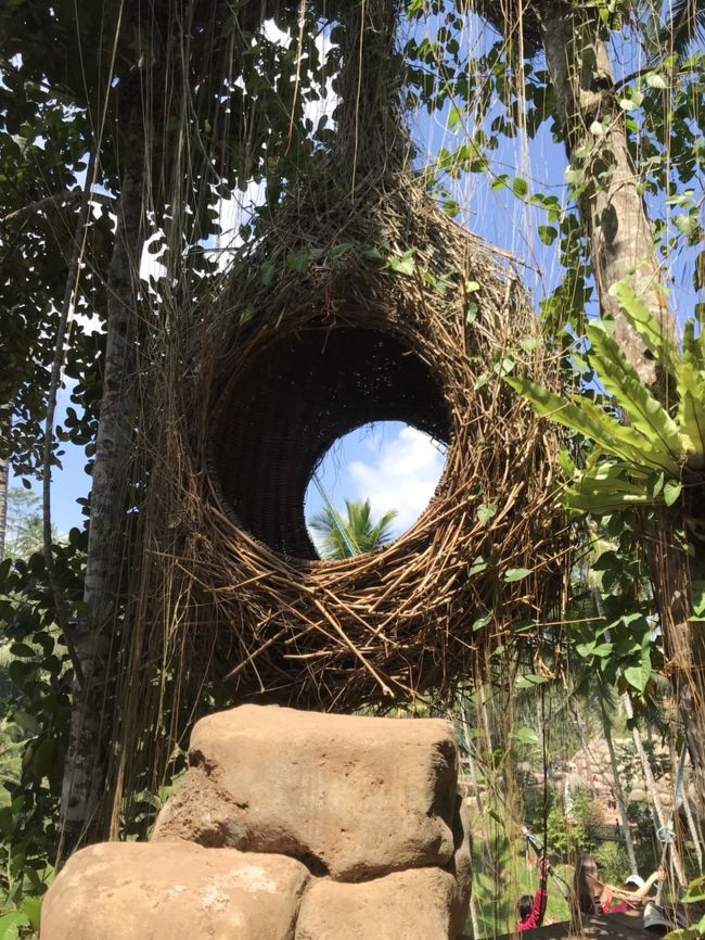 写真ポイント<br />娘は何ポーズか撮影しました。<br /><br />