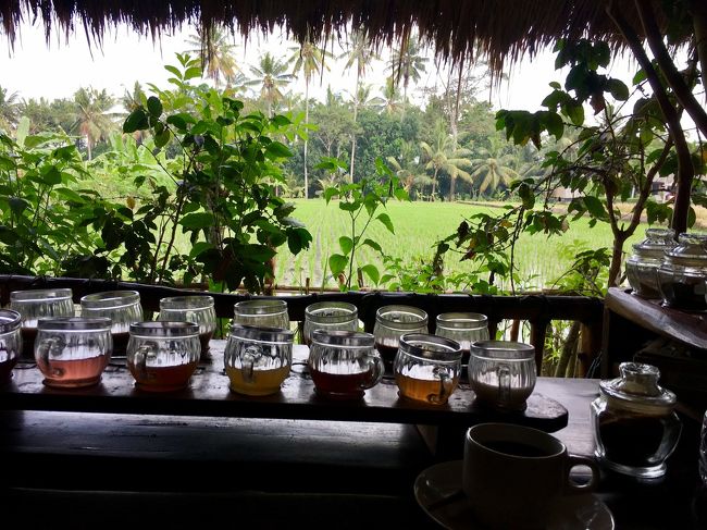 試飲<br />こんなに沢山のお茶類、コーヒー類<br />4人でも飲み切れませんでした。 <br />田んぼを眺めながら、ゆったり