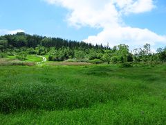 ざっと見渡すと濃い緑
花のピークはやや過ぎたか？