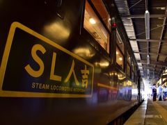12:09 「SL人吉」は人吉駅に到着です
およそ２時間半のほどの、現役のSL列車としては日本最古である蒸気機関車58654号機・通称“ハチロク”が牽引する「SL人吉」を十分に感じることが出来た素敵なSL列車の旅でありました