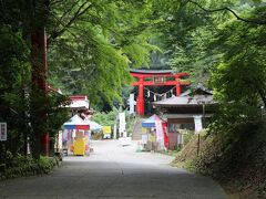 ８／１１
義母がふくろうがいっぱいいる神社に行った時の写真を見せてくれて、面白そうだったので両親と一緒に行ってみる事にしました。

それが「鷲子山上神社」です。
駐車場に車を止めて、早速散策します。

この夏もお出掛けするのを躊躇してしまうほどの猛暑でしたね。
ここは木々に囲まれた山の中だったので、ちょっとだけ涼しく感じました。
最初はね・・・