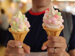 大阪から出発して、紀ノ川サービスエリアへ！おいりトッピングができるソフトクリームをいただきました。
黄色がみかん味、ピンクが桃味と、和歌山らしいです。