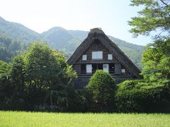 白川郷　和田家

風雪から家を守る防風林も重要文化財指定のひとつ、、

建てられた当初は、その防風林と合掌造りが
こんなに美しい姿になるとは思っていなかったでしょうねぇ、、