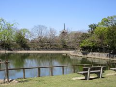 荒池園地の遊歩道を進むと、見えてきました！
興福寺五重塔です。