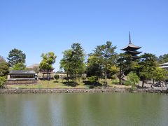 猿沢池と興福寺五重塔。
