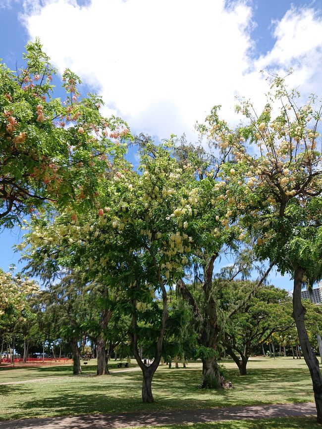 <br />イリカイホテル前からワイキキ方面のJALトロリーでDFSへ。トロリー、10分強待ちました。<br />歩いていったほうが早いかもくらい。<br />イリカイ前はツアーバスがバンバンとまるから、道路がいつもややこしいね。<br /><br />娘が行きたいリルキューティが11時からだからそれまで、楽天ラウンジで時間を潰していました。<br /><br />あとは、jaloaloカードの特典で、ゴディバのチョコをもらいに行きました。<br /><br />なんかあと楽天ラウンジでもらったクレーンゲーム券で、クレーンやったら、ハワイアンアロマカフェのコーヒー当たった！！<br /><br />うん、昨日のモヤモヤが半分消えた！！！