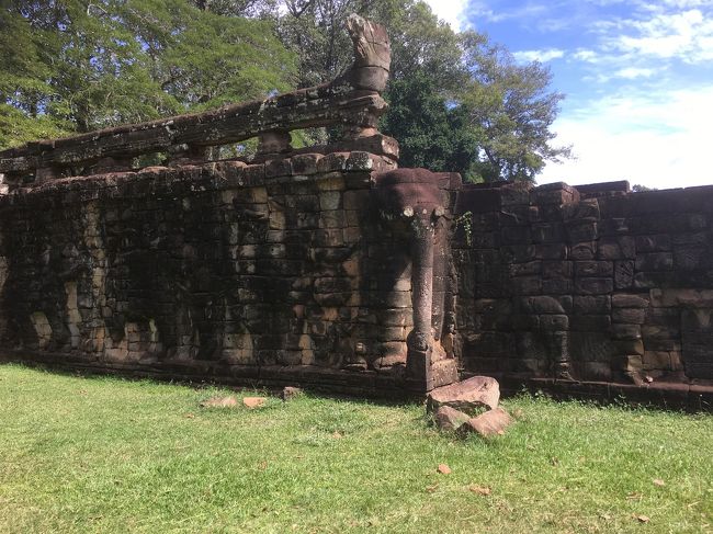 象のテラス<br />とにかく日陰がなくて暑い。