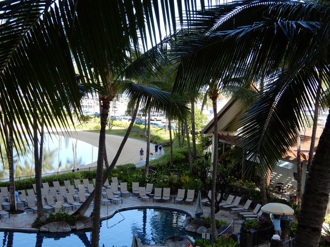 ５月２１日（火）<br />ラナイから見た風景