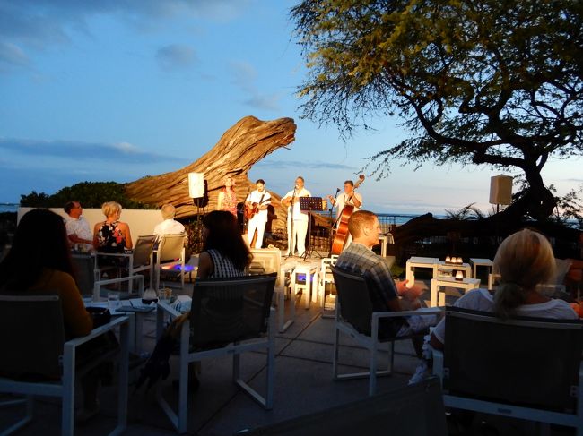 折れてしまったキアヴェの木もそれなりに風情がある