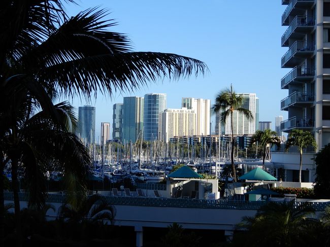 ５月２２日（水）<br />ラナイから見た風景