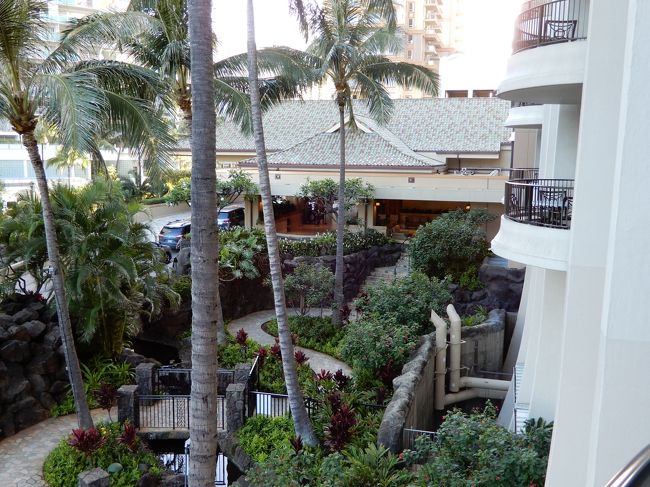 ５月２２日（水）<br />ラナイから見た風景