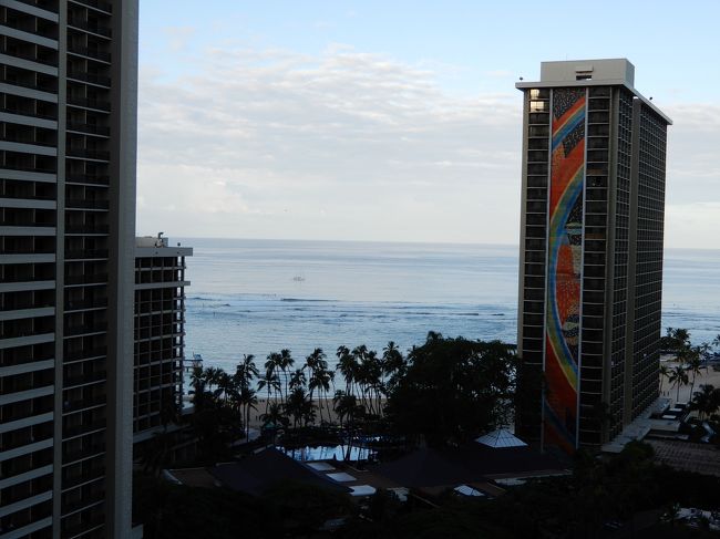 ５月２９日（水）<br />ラナイから見た風景
