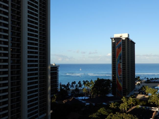 ５月３０日（木）<br />ラナイから見た風景