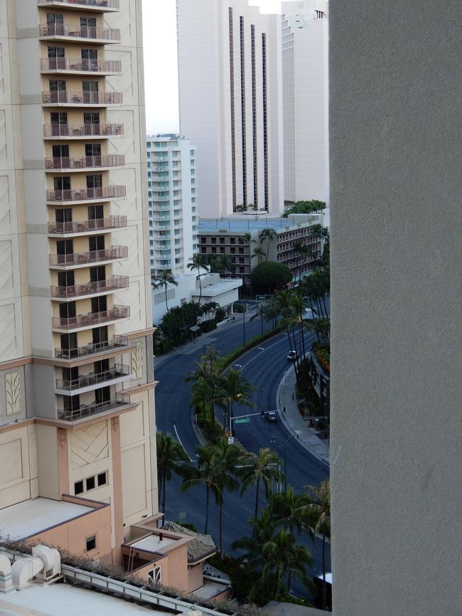 ６月　７日（金）<br />ラナイから見た風景