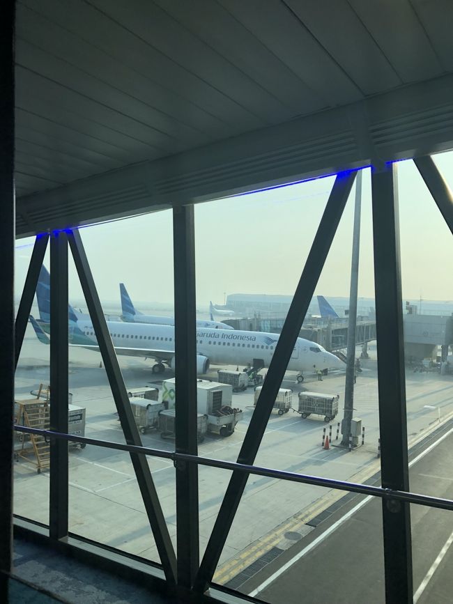 さすがインドネシア。<br />ガルーダ機がズラリ。