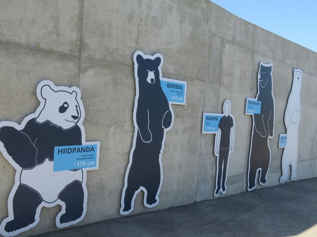 クマの大きさの違いを説明してる