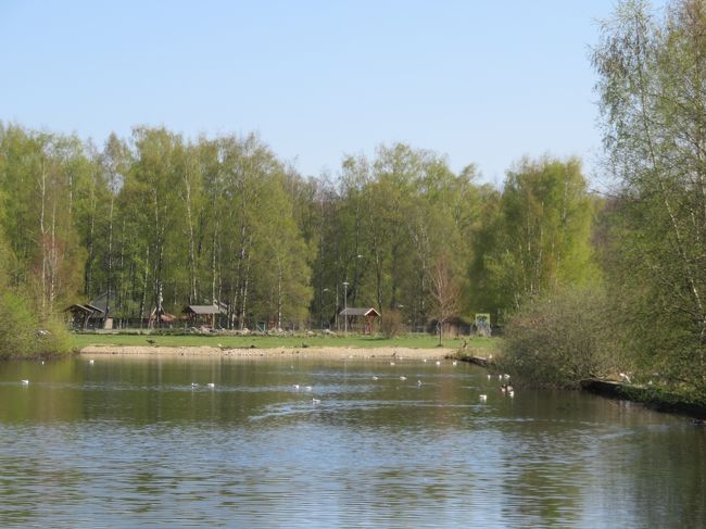 大きな池もある<br />鳥はどう管理してるの？自由なのかな？