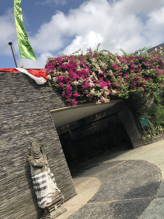 ブーゲンビリア満開