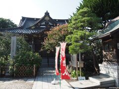 妙隆寺

本堂右手には鎌倉七福神の寿老人が祀られています。
本堂前には、百日紅と酔芙蓉が咲いています。