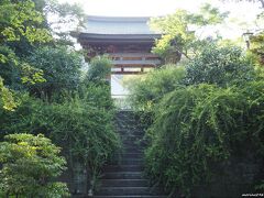 海蔵寺　山門前の石段と萩　16:25頃

こちらの萩は、毎年剪定されていますが、秋にはしっかりと成長しています。
残念ながら拝観時間を過ぎており、境内へは入れませんでした。

