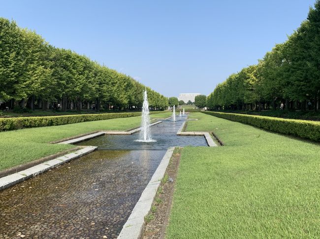 すごい直線。<br />