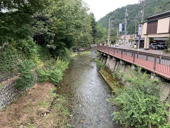 川の水が澄んでいます。<br />泳いでいる方もいました。