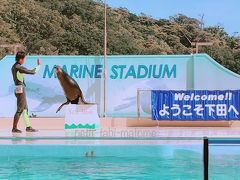 大充実の「下田海中水族館」はショータイムがすごい!

二日目も良い天気。下田海中水族館は朝9時とかからショーをやっているので、午前中早めの到着がおススメ！9時20分からのショーを楽しみに、朝早めに行きました。イルカショーの次はアシカちゃんのショー…と2つも堪能。



