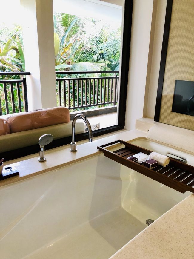 見ませんでしたがTVついていました！