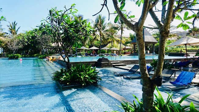 プール<br />横から見たところ。