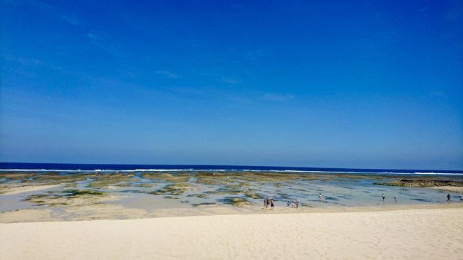 海は泳げそうにないですね(//∇//)