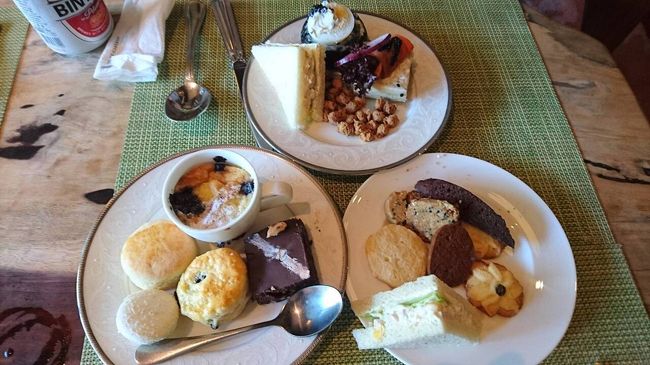 食べ物はどれも美味しいです☆