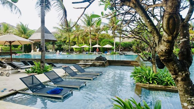 プールの広さはありますがホテルの客室数からしてベッドが明らかに少ない‥ような‥<br />