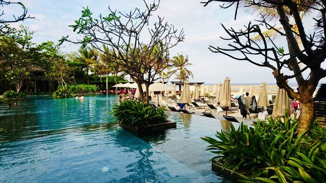 プールの周りは木々が生い茂りそのせいか暗く閉塞感を感じます。