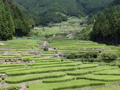 11:55 四谷の千枚田 日本の棚田100選
棚田が段々になっていて本当にきれい。
