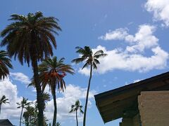 
ハレイワアリイビーチパークにホヌを見に来ました。
雨降ってきたー。
結構強いシャワー！
砂で足とられて歩きにくいし、ホヌいないしー！

この時は気付かなかったけど、海がキラキラしてるー！！
はぁー戻りたいなぁ！！！
来年までまた１年。長いなぁー。
年に何回も行ける人がうらやましーなー。
欲がどんどん出てきます。



続きます。
