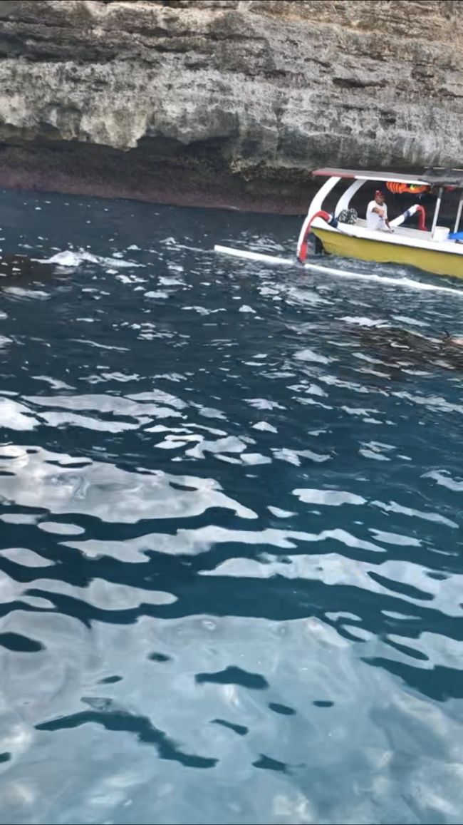 水面が黒くなってるのがマンタ<br />