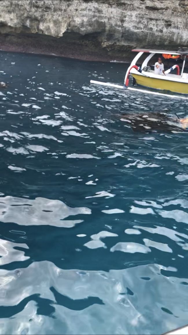 かなり近づけます<br />