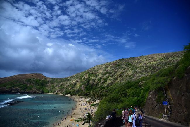 こんな坂道を下って、ハナウマ湾のビーチに降りていきます。<br />この坂には、ハナウマベイトロリーが行き来しています。<br />もちろん有料です。<br />入場ゲートからビーチまでは、それほどの距離ではありません。<br />景色を見ながら歩くのもいいんじゃないでしょうか…。