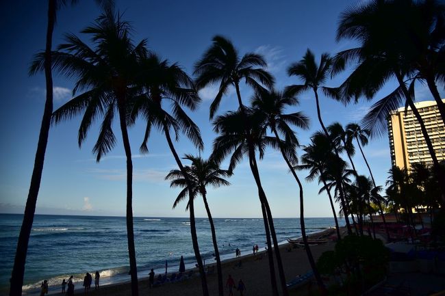 ビーチと空の青を背景に、ヤシのシルエットがとても絵になります！